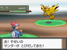 zapdos