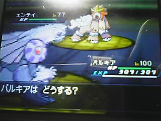 entei.jpg