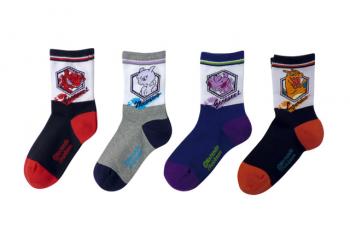 abbilgiamentopokemon1_2013_06_09_1726.jp