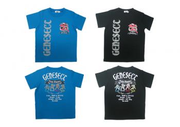 abbilgiamentopokemon3_2013_06_09_1726.jp