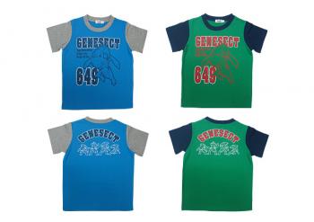 abbilgiamentopokemon4_2013_06_09_1726.jp