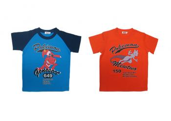 abbilgiamentopokemon6_2013_06_09_1733.jp