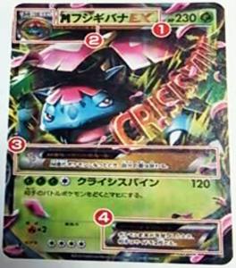 mega_venusaur_ex_2013_11_08_1903.jpg