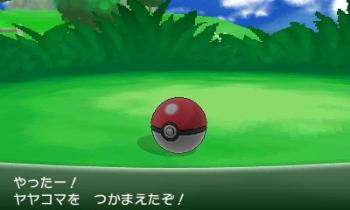 pokemon_x_y_19_2013_06_01_1632.jpg