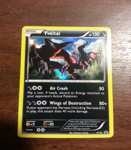 xy32_yveltal_2014_10_15_2107.jpg