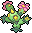 Maractus