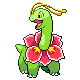 Meganium