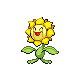 Sunflora