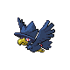 Murkrow