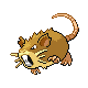 Raticate