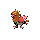 Spearow