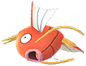 Magikarp