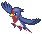 Swellow