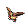 Pidgey