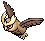 Noctowl