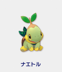 Pokémon Super Mystery Dungeon-artwork Turtwig