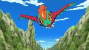 XY077 Immagine 6