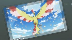 #6 La foto di Moltres