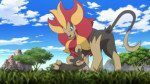 XY&Z004 ~ Litleo e Pyroar