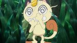 Pokémon XY&Z005 ~ Meowth