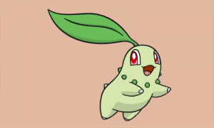 chikorita