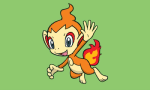 chimchar