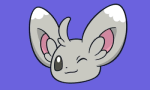 minccino