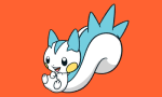 pachirisu