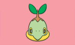 turtwig