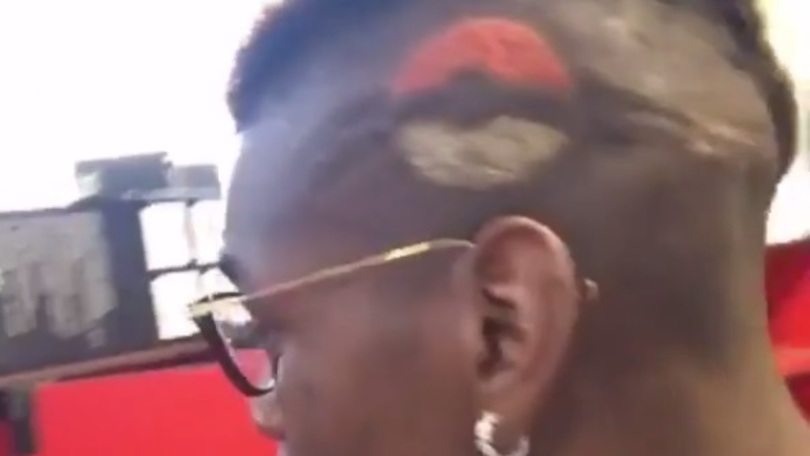 Paul Pogba Poké Ball