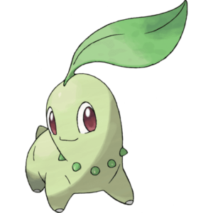 Chikorita