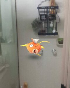 Magikarp Pokémon GO doccia