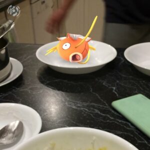 Magikarp Pokémon GO piatto