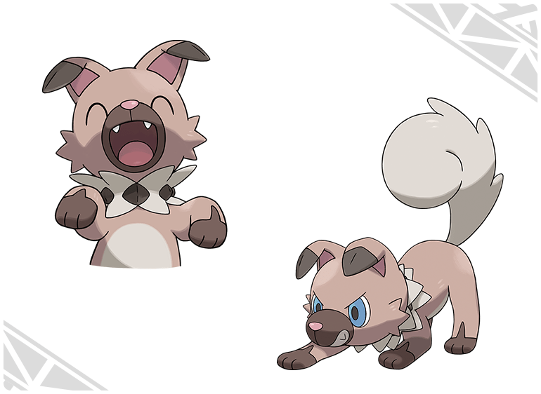 Rockruff illustrazioni