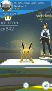 jolteon go