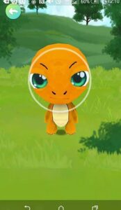 charmander ball practice