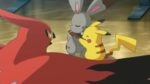 episodio-xyz047-pikachu-e-bunnelby