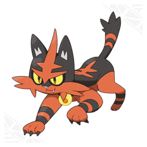 torracat