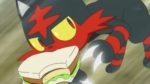 settimo-episodio-di-Pokémon-sole-e-luna-litten-ruba-il-sandwich-di-ash