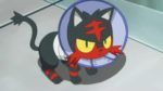 settimo-episodio-di-Pokémon-sole-e-luna-litten-viene-curato-al-centro-Pokémon