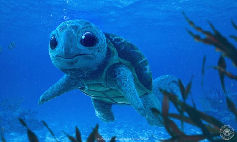 concept-art-squirtle-768x461.jpg