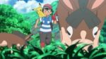 11esimo episodio di Pokémon Sole e Luna - Mudbray
