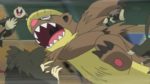 nono-episodio-di-Pokémon-sole-e-luna-gumshoos-caccia-i-rattata-e-raticate
