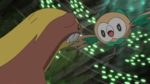 nono-episodio-di-Pokémon-sole-e-luna-towlet-attacca-yungoos