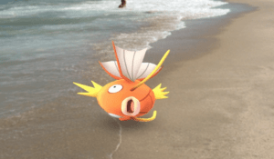 Pokémon GO Magikarp