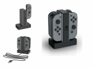 switch-accessory-3-300x221.jpg