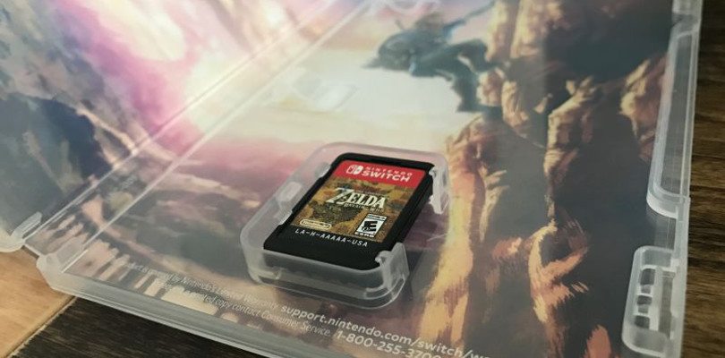 I giochi di Nintendo Switch possono avere manuali elettronici se previsti dagli sviluppatori
