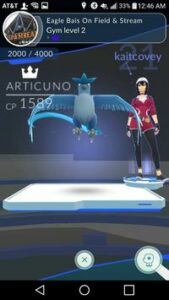 Articuno Pokémon GO