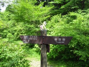 Fuji Hakone Izu 2