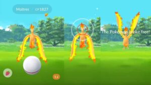 moltres premier ball pokémon go